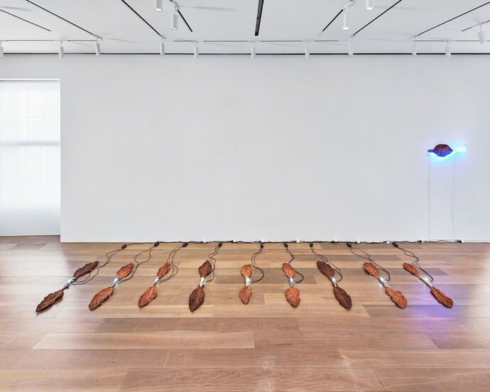 Ileana Sonnabend and Arte Povera. Courtesy of Lévy Gorvy