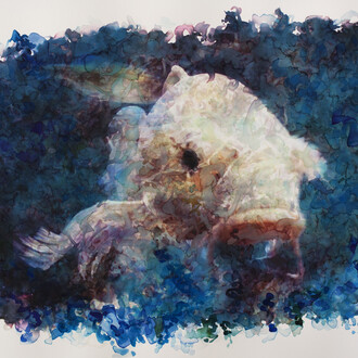 Gabriele Brucceri, Carpa, 52 x 76 cm, 2015, mista su carta