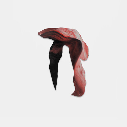 Harminder Judge, Untitled (torso and tulip), 2025. Courtesy of Sean Kelly Gallery