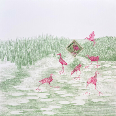 Andrea Moreau, Liberia (Water birds), 2024. Courtesy of Carrie Haddad Gallery