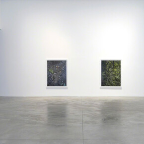 Stephen Shore. Courtesy of 303 Gallery