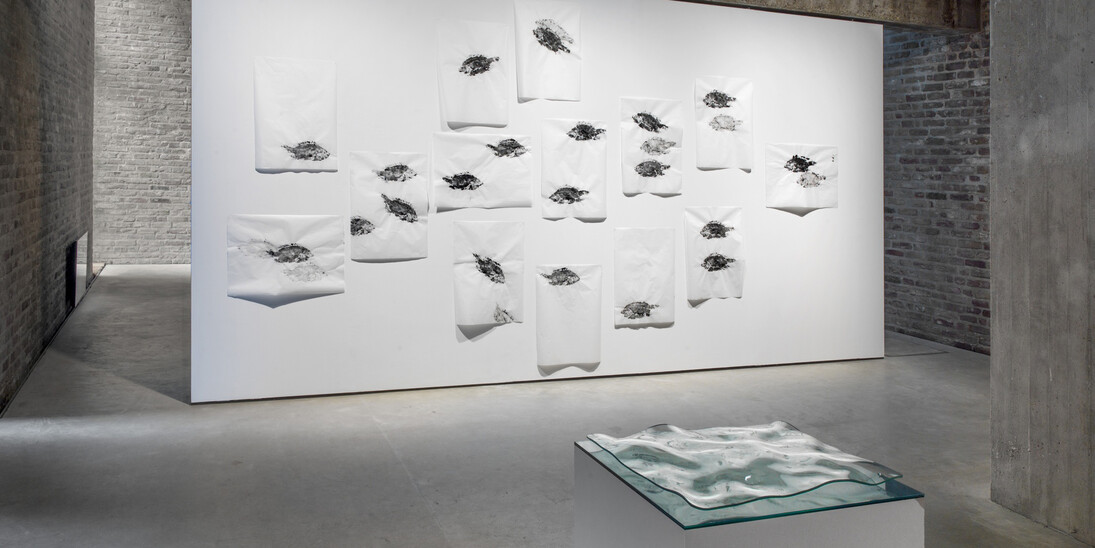 400 Million Years, Exhibition view. Courtesy of König Galerie