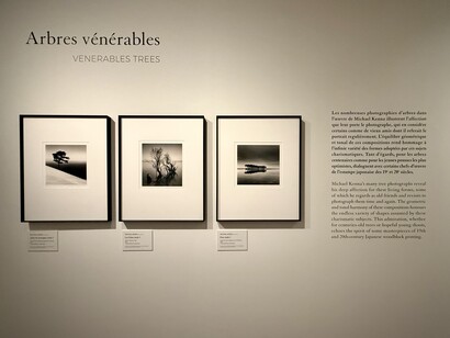 Michael Kenna, Silver haikus, Asia photographed, exhibition view. Courtesy of Guimet Museum
