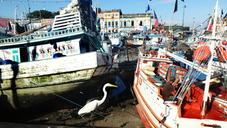 Flota de barcos de pesca varados en el puerto del mercado de Belém do Pará. Boca del Amazonas, Brasil. Foto de Karen Brewer
