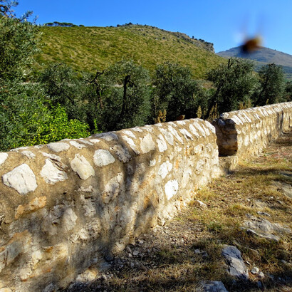 La via Appia Antica
