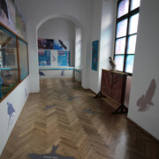 Falconry. Courtesy of National Museum of Agriculture