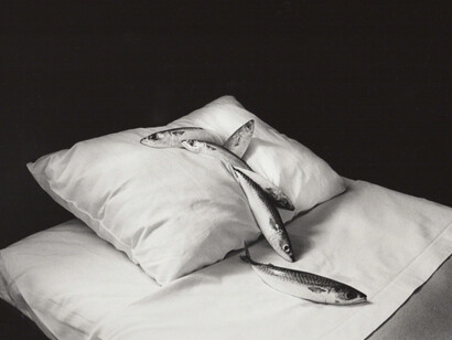 Sleep with the Fishes. Courtesy of Robert Mann Gallery