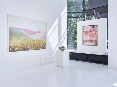 Douglas Mandry, Les archives de la planète, exhibition view. Courtesy of Bildhalle Gallery