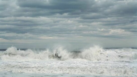 Tria Giovan , White Spring, 2009, Archival inkjet print, 30 x 40 inches