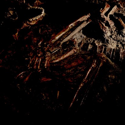 Enterramiento neandertal Kebara 2