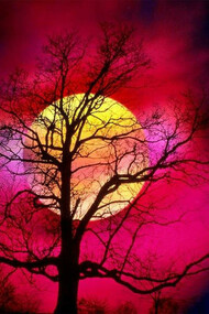 Red moon