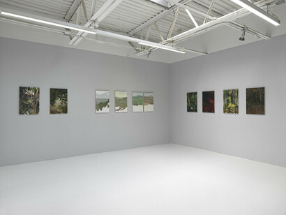 Doron Langberg, Landscapes, exhibition view. Courtesy of Jeffrey Deitch
