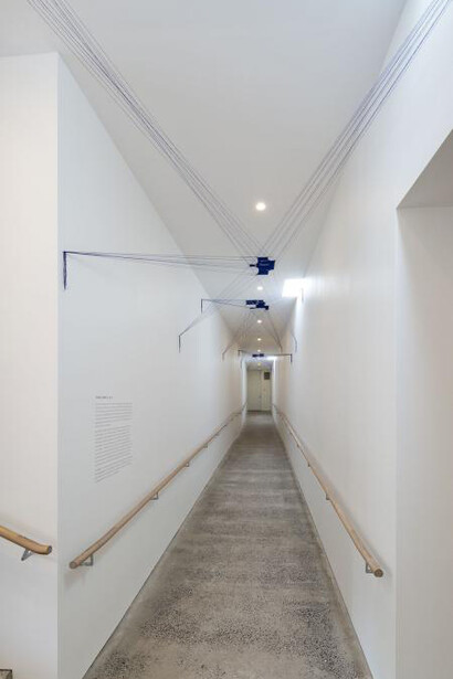 Dana Harris. Courtesy of Heide Museum of Modern Art