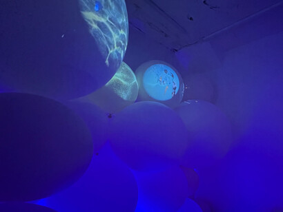 Katja Loher, Why Do The Waves Repeat the Questions I Ask Them? The Plankton Manifesto, installation at LatchKey Gallery. Courtesy the artist and LatchKey Gallery, NYC