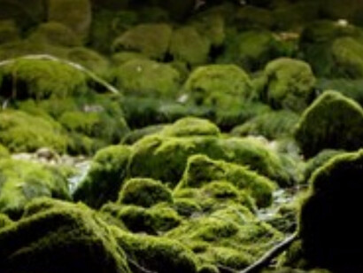 Diary of a Madman (Circadian Rhythm), 2016. Courtesy of New Museum
