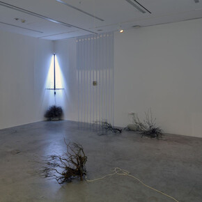 Nika Erjavec, (Un)objectivity, exhibition view. Courtesy of MG+MSUM