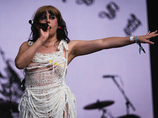 Monte de Venus: es la parte más alta de la vulva, cubierta de vello púbico. Maneqquin Pussy (Vulva maniquí) Festival Wide Awake, mayo 2025, en Brockwell Park, Londres, Inglaterra