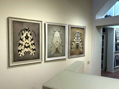 Kate Breakey and Samuel James, To the dark and the endless skies, exhibition view. Courtesy of Etherton Gallery