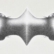 Omar Galliani, Disegno siamese, 2009. Cortesia di CSArt - Comunicazione per l'Arte