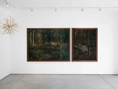 Edo Costantini, Delfina Braun y Delfina Muniz Barreto, Solsticio de invierno: semillas de la nada, vista de exhibición. Cortesía de Praxis