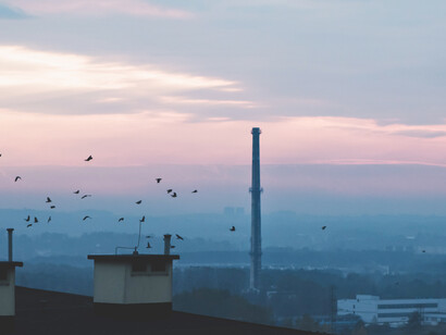 Il Cinema dei Diritti Umani come antidoto al disastro ambientale