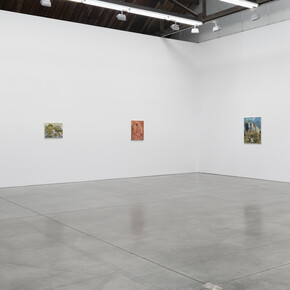 Salman Toor, Wish Maker, exhibition view at Luhring Augustine Chelsea. Courtesy of Luhring Augustine