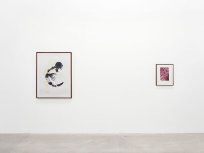 Kunié Sugiura, X-ray island, exhibition view. Courtesy of Moskowitz Bayse 