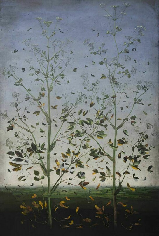 Michael Canning, A disappearance of things