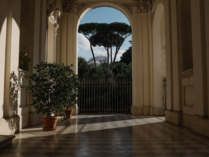 En Italia el estudio del latín vive una nueva edad de oro