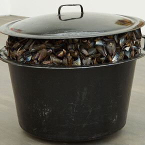 .Broodthaerskabinet. Courtesy of S.M.A.K