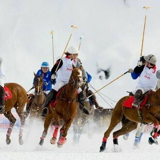Cortina Winter Polo Audi Gold Cup