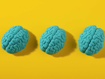 Three human brain models arranged in sequence, representing the influence of gene expression on brain development and function