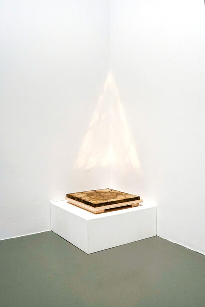 Installation view © Zhao Zhao, courtesy of Zhao Zhao and Mizuma Gallery