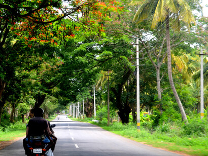 The road towards Lake