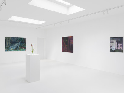 Claudia Koh, Soft spot, exhibition view. Courtesy of Super Dakota