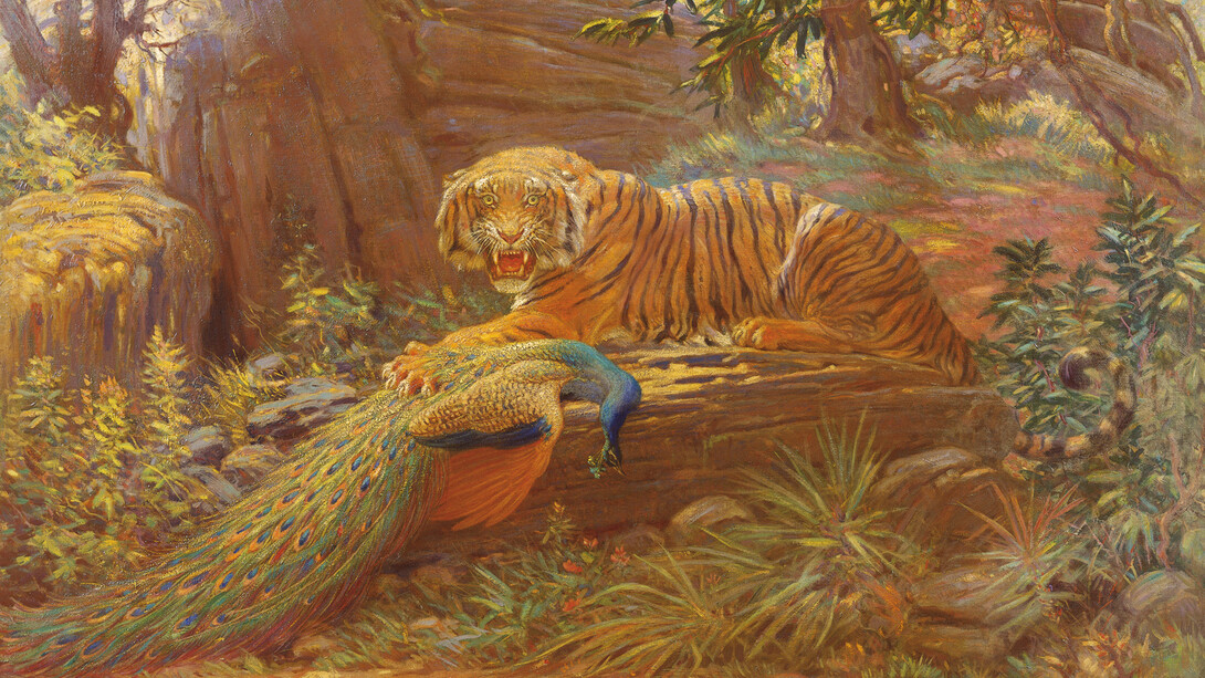 Strut, Knight Tiger and peacock