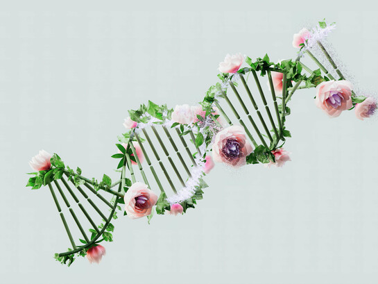 Investigadores utilizan la química sintética para fabricar ADN espejo y enzimas capaces de sustentar una biología con orientación totalmente invertida