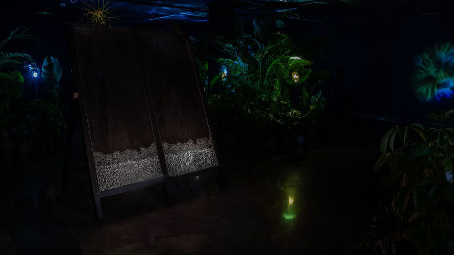 Tania Candiani, Radix, exhibition view. Courtesy of IVAM