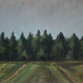 Mauricio Parra, Gludstedflorest, 38,5 x 28,8 cm. Courtesy of Galeria Mezanino