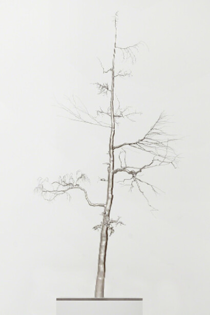 Roxy Paine. Courtesy of Paul Kasmin Gallery