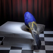 Debora Garritani, Inexplicabilis atrium #3, 2023. Courtesy of Mart