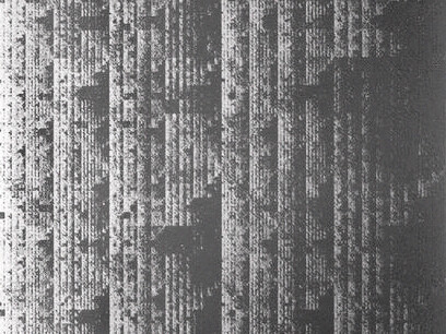 Eveline Kolijn y Christian Bök, Serigrafía del genoma de «Deinococcus radiodurans»