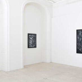 Eva Schlegel, All day I hear the noise of waters, exhibition view. Courtesy of Galerie Krinzinger