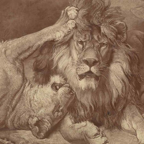 Before and After. Courtesy of Museum für Fotografie