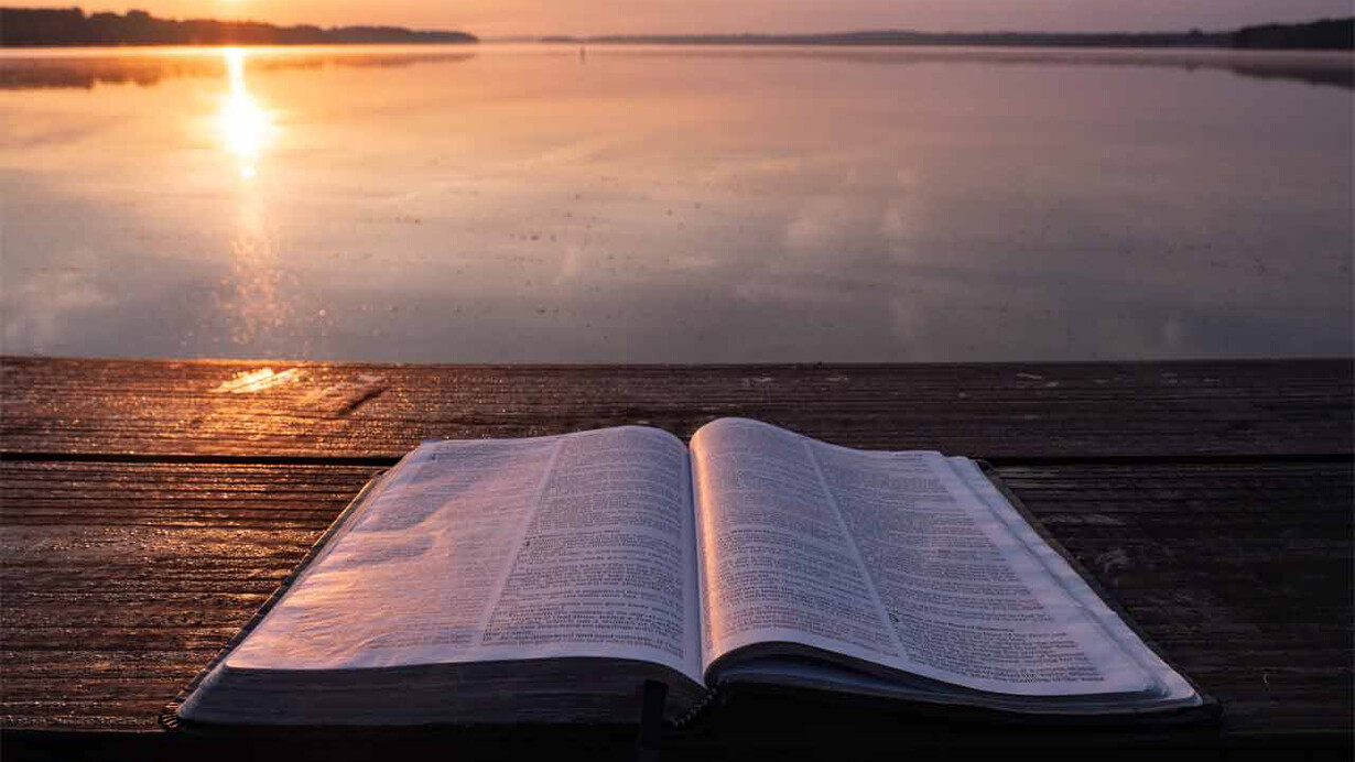 Un libro al tramonto