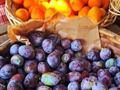 La cooperativa è un punto di riferimento per la cittadinanza attiva, proponendo orti sociali, mercati contadini e attività educative. @Cooperativa Agricola Coraggio