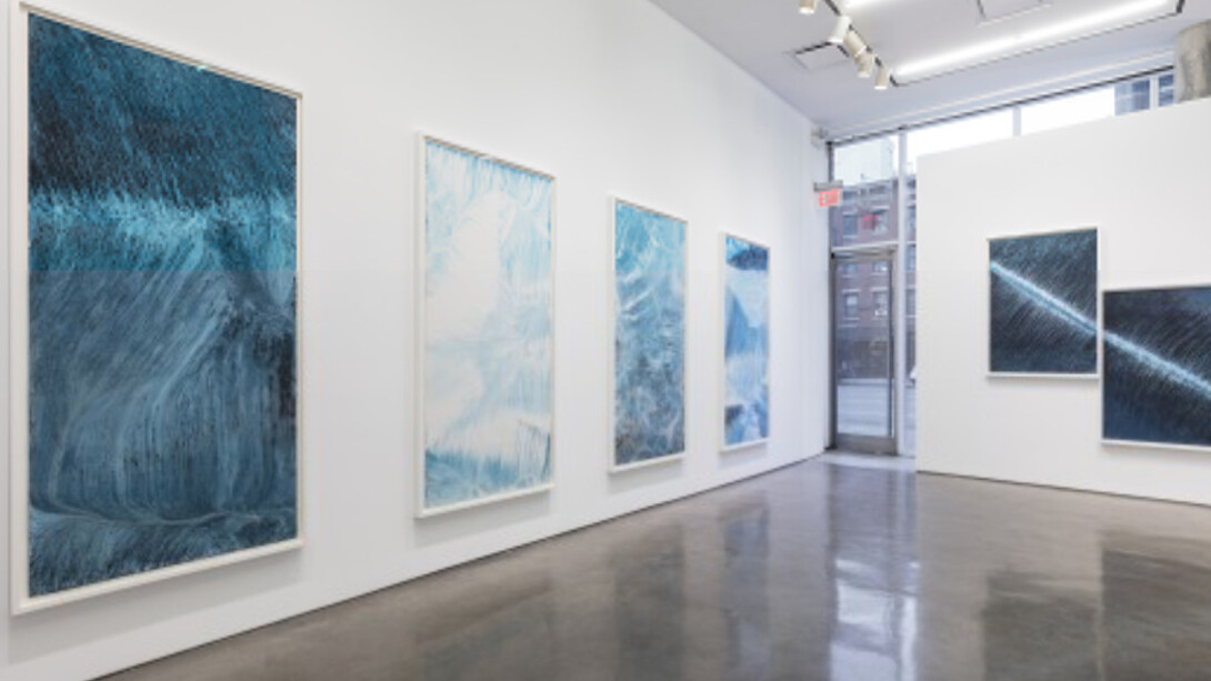 Ecotone. Courtesy of Yossi Milo Gallery 