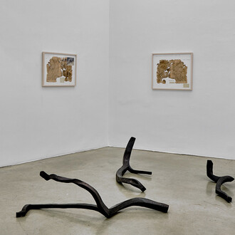 Ausstellungsansicht Jimmie Durham, 1948. Courtesy of Christine König Galerie. Foto by Philipp Friedrich