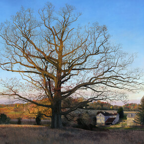 Timothy Barr, Clenny Oak, 2023, oil on panel, 30x48 inches. Courtesy the artist and LewAllen Galleries