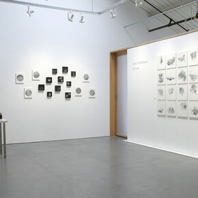 Seiko Tachibana, Echoes, exhibition view. Courtesy of Themes+Projects